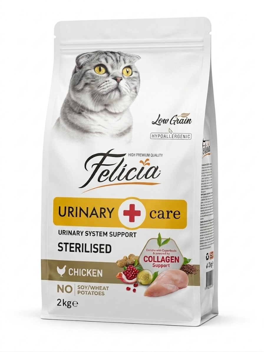 Felicia - Image 3