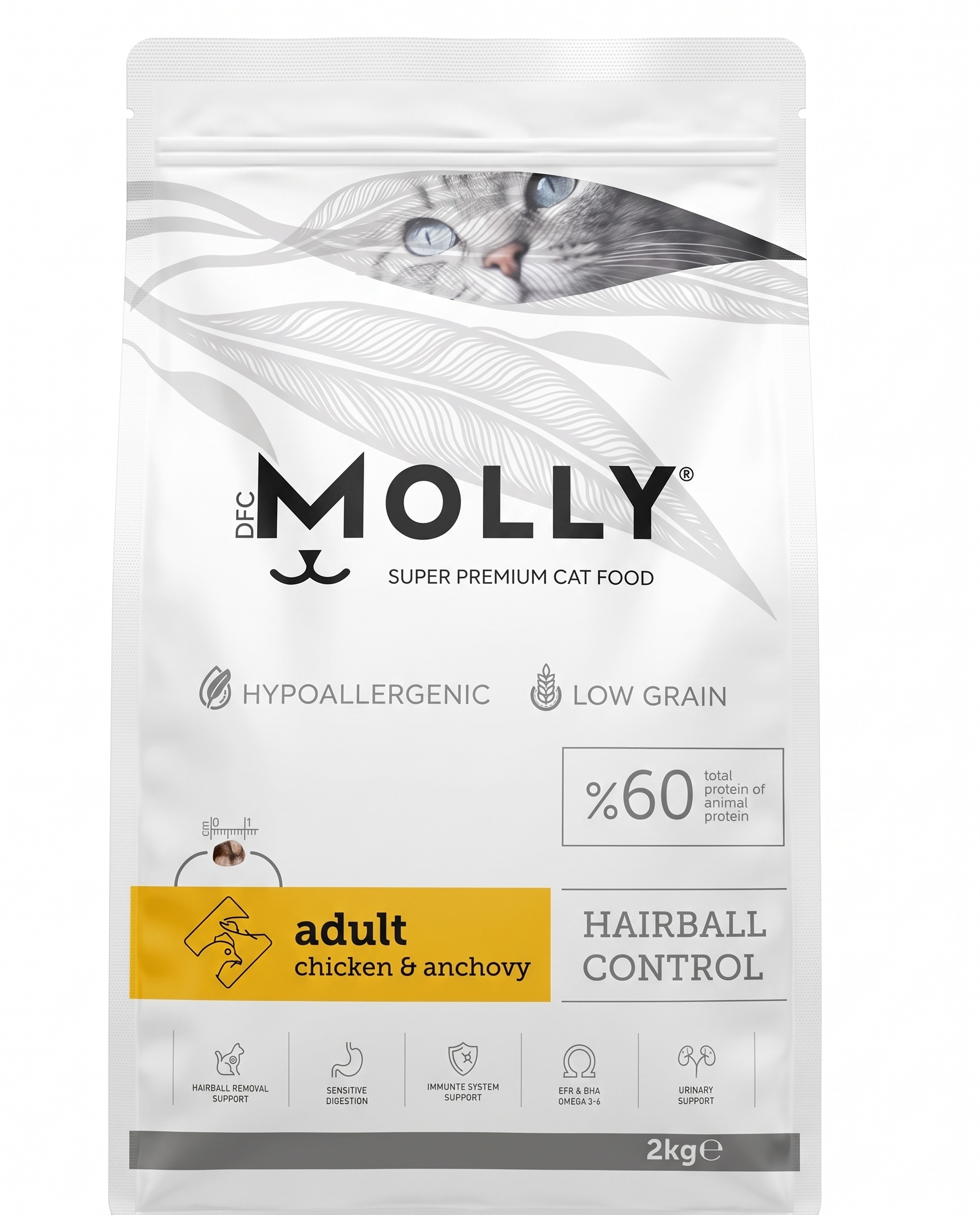 Molly - Image 3
